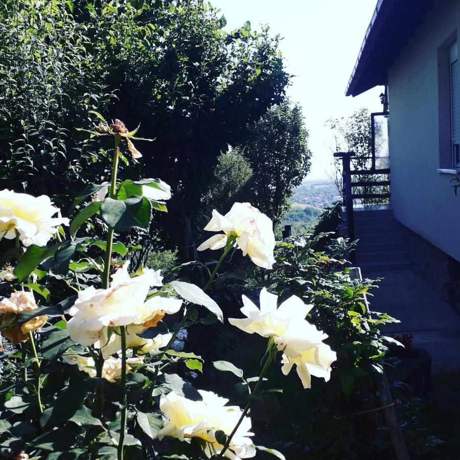 ורדניק Apartment Noletov Vidikovac מראה חיצוני תמונה