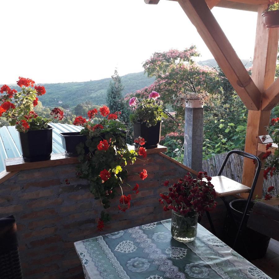 ורדניק Apartment Noletov Vidikovac מראה חיצוני תמונה
