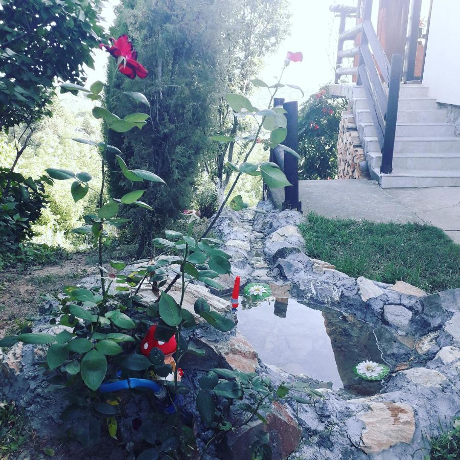 ורדניק Apartment Noletov Vidikovac מראה חיצוני תמונה