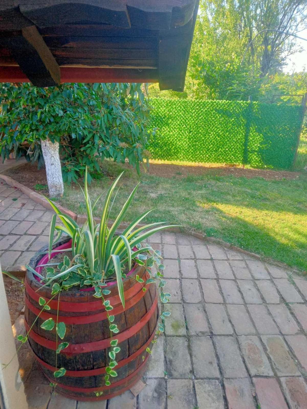 ורדניק Apartment Noletov Vidikovac מראה חיצוני תמונה
