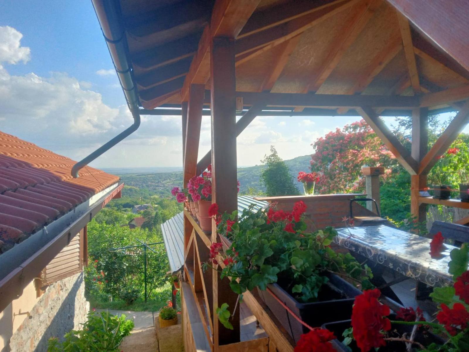 ורדניק Apartment Noletov Vidikovac מראה חיצוני תמונה