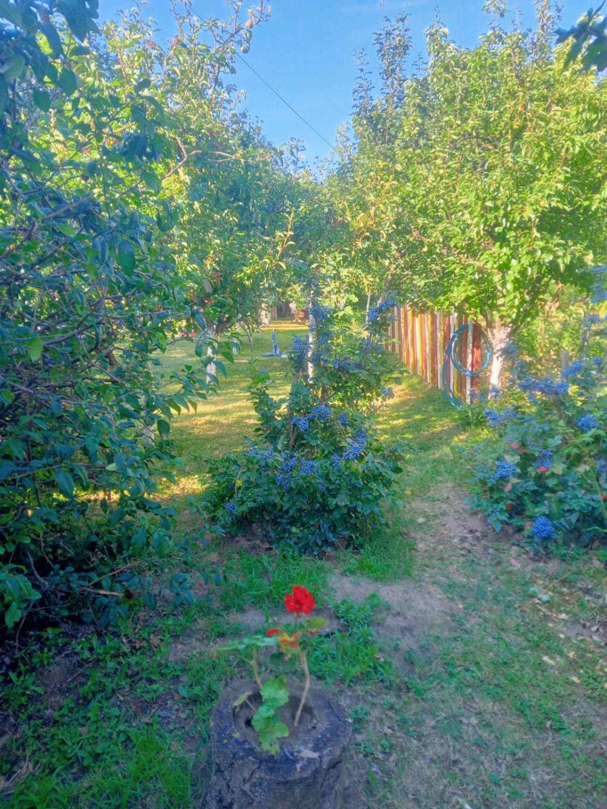 ורדניק Apartment Noletov Vidikovac מראה חיצוני תמונה